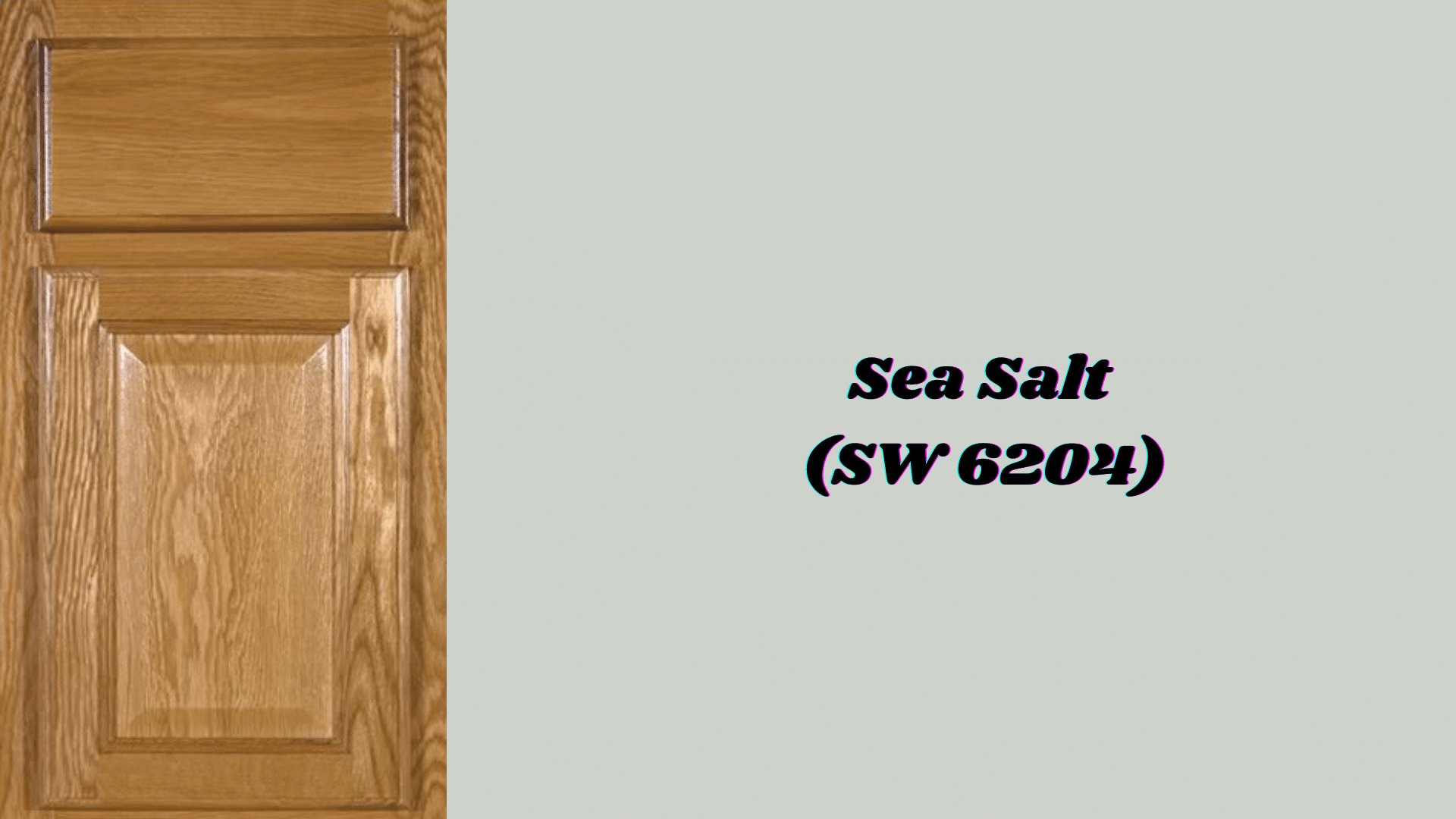 Sea Salt (SW 6204)
